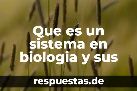 Que es el sistema cardiovascular y como esta compuesto 7 Que es un sistema en biologia y sus