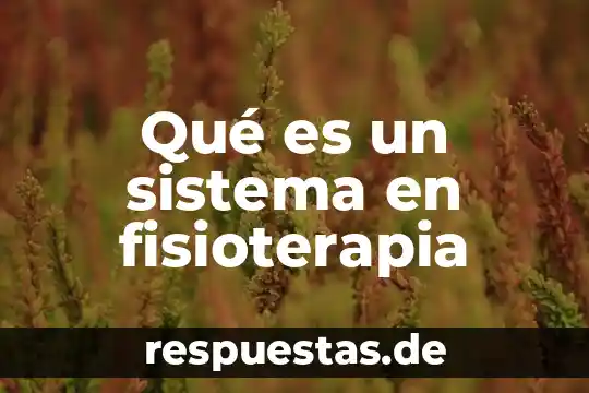 Qué es sistema animal y conformación 6 Qué es un sistema en fisioterapia