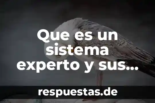 Que es un sistema experto y sus elementos
