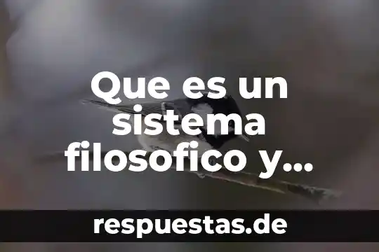 Qué es sistema animal y conformación 4 Que es un sistema filosofico y ejemplos
