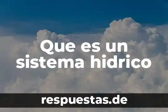 Que es sistema ventral 3 Que es un sistema hidrico