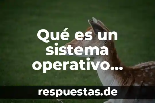 Que es conocimiento operativo de una empresa 6 Qué es un sistema operativo características y tipos