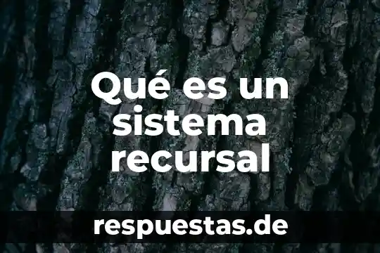 Qué es el símbolo de si símbolo de sistema 7 Qué es un sistema recursal