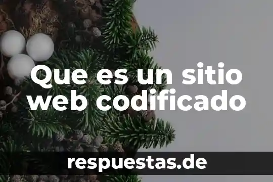 Qué es un sitio en arquitectura 4 Que es un sitio web codificado