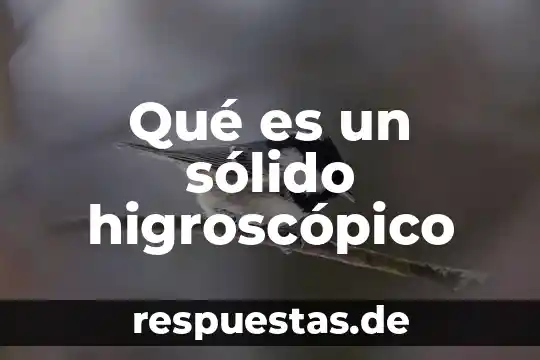 Que es patch panel solido 3 Qué es un sólido higroscópico
