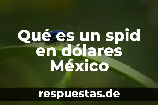 Que es herencia cultural de mexico 4 Qué es un spid en dólares México