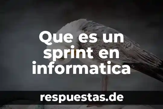 Que es un grafico en informatica animacion 3 Que es un sprint en informatica