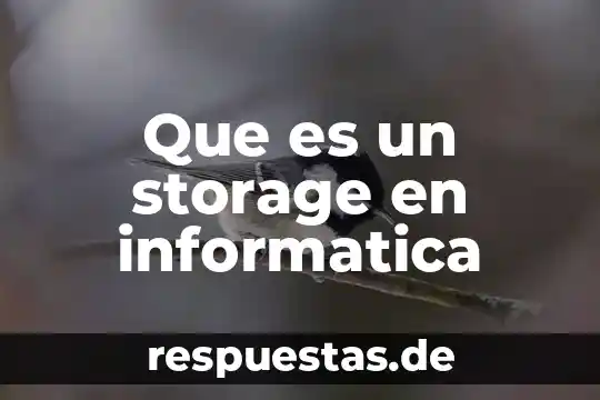 Que es un grafico en informatica animacion 7 Que es un storage en informatica