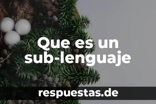 Qué es significa web 6 Que es un sub-lenguaje