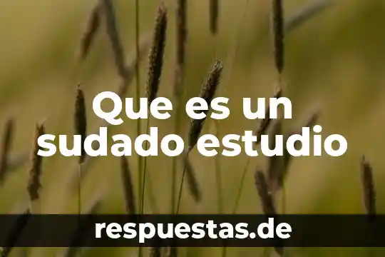 Que es estudio r&r 7 Que es un sudado estudio