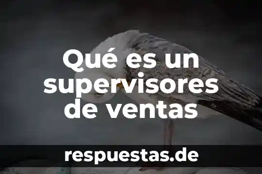 Qué es la armonía arquitectura 5 Qué es un supervisores de ventas