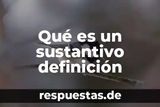 Que es allanado definicion 4 Qué es un sustantivo definición