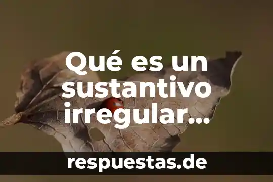 Qué es un sustantivo irregular ejemplos