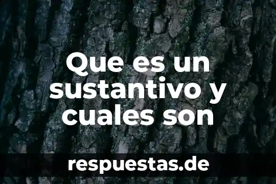Qué es el signo linguístico y cuáles son sus componentes 5 Que es un sustantivo y cuales son