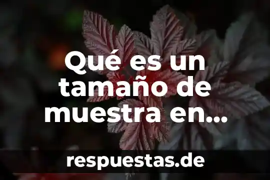 Qué es tamaño de lote económico en administración de empresas 4 Qué es un tamaño de muestra en estadística