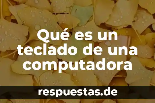 Qué es un teclado de computadora y sus funciones 3 Qué es un teclado de una computadora