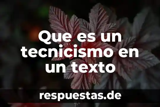 Que es tecnicismo 5 Que es un tecnicismo en un texto