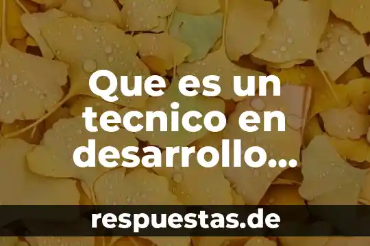 Que es un tecnico en desarrollo comunitario