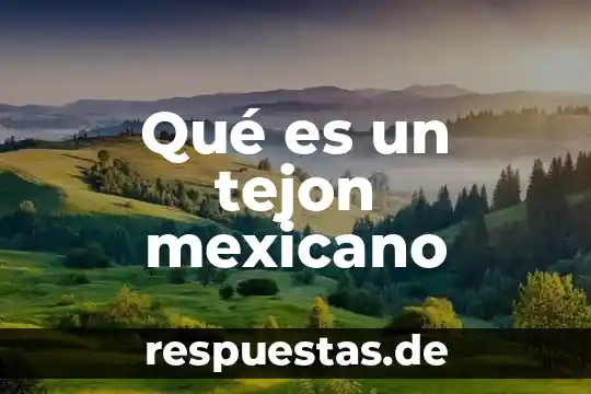 Futbol mexicano que es 7 Qué es un tejon mexicano