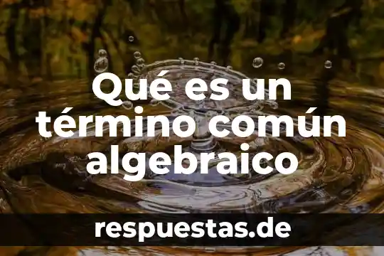 Qué es un término común algebraico