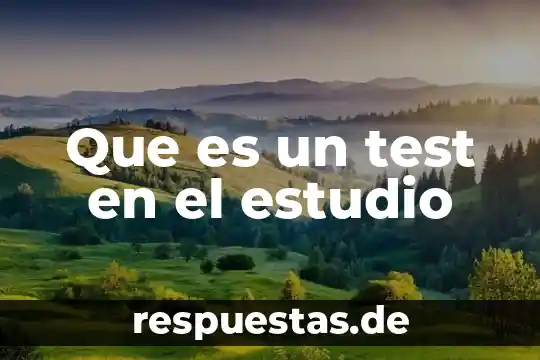Que es estudio r&r 8 Que es un test en el estudio