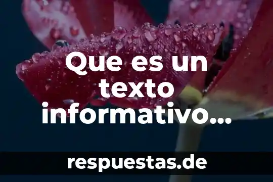 Que es introducir el texto del signo 8 Que es un texto informativo funciones y caracteristicas