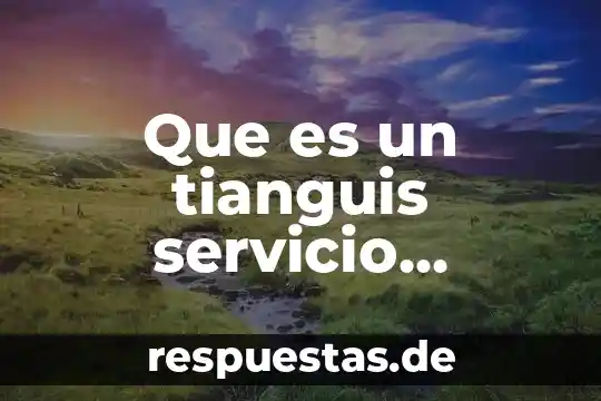 Que es un tianguis servicio publico