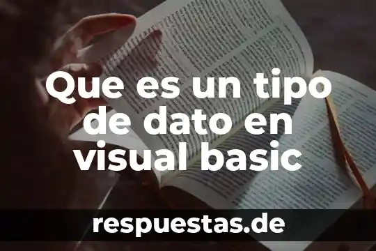 Qué es tipo de fuente primaria y secundaria 5 Que es un tipo de dato en visual basic