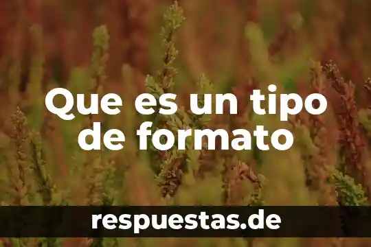Tipo de cambio mayorista que es 7 Que es un tipo de formato