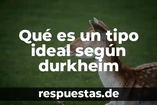 Que es la realidad segun durkheim en el suicidio 3 Qué es un tipo ideal según durkheim