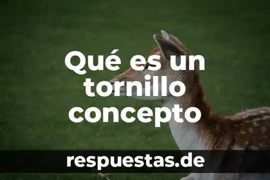 Qué es un tornillo concepto