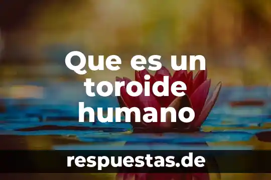 Que es ser hombre y ser humano 3 Que es un toroide humano