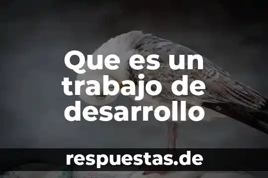 Qué es el desarrollo cognitivo y qué valores adquieres 8 Que es un trabajo de desarrollo