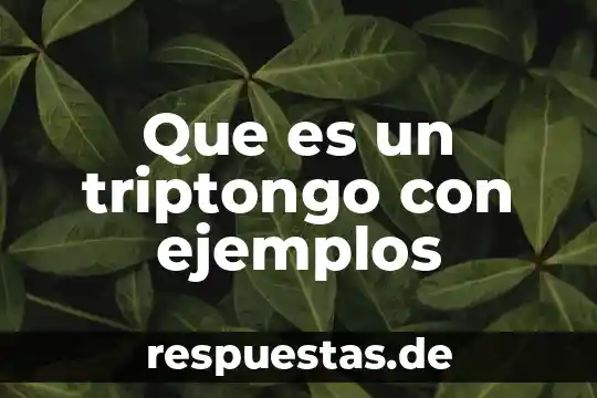 Que es una linea de texto ejemplos 6 Que es un triptongo con ejemplos