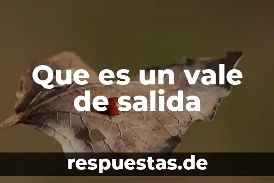 Que es un vale de salida