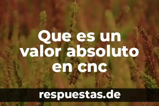 Que es un valor absoluto en cnc