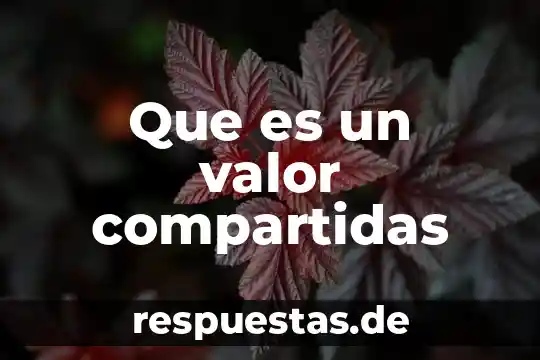 ¿Qué es el valor de las im? 8 Que es un valor compartidas