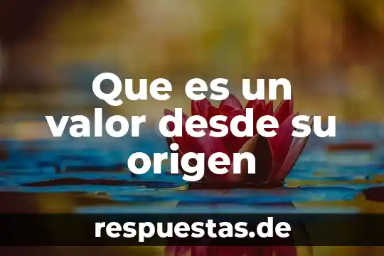 Que es la definicion origen 7 Que es un valor desde su origen