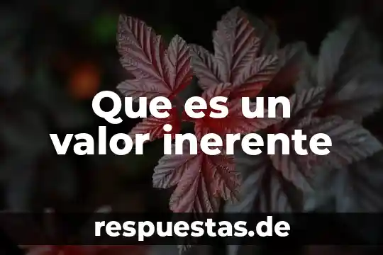 Que es un valor del filosofía 5 Que es un valor inerente