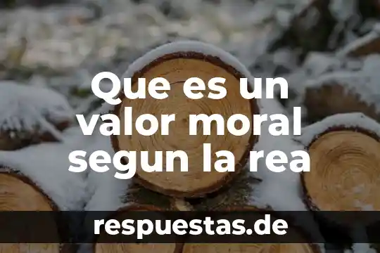 Que es la moral para la sociedad 3 Que es un valor moral segun la rea