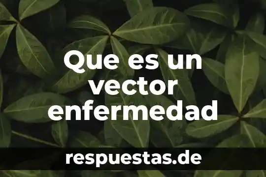 Que es la funcion de mandos 6 Que es un vector enfermedad