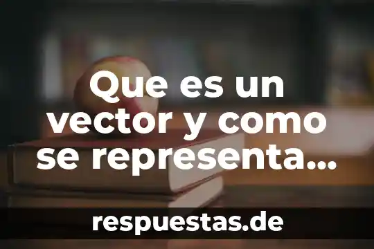 Que es la primer derivada de una funcion representa 3 Que es un vector y como se representa graficamente