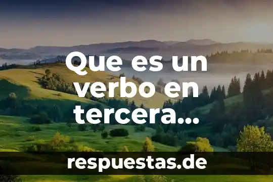 Que es un verbo en tercera persona