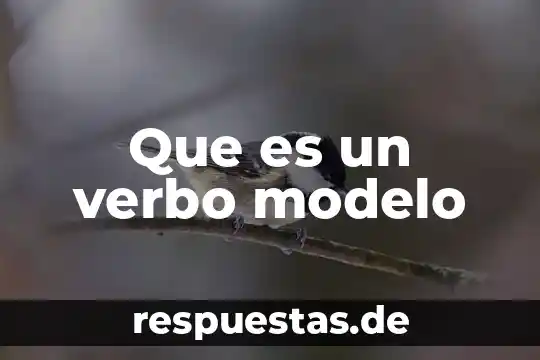 Que es un modelo de conocimiento 8 Que es un verbo modelo