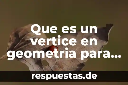 Qué es la geometría plana el significado 3 Que es un vertice en geometria para niños