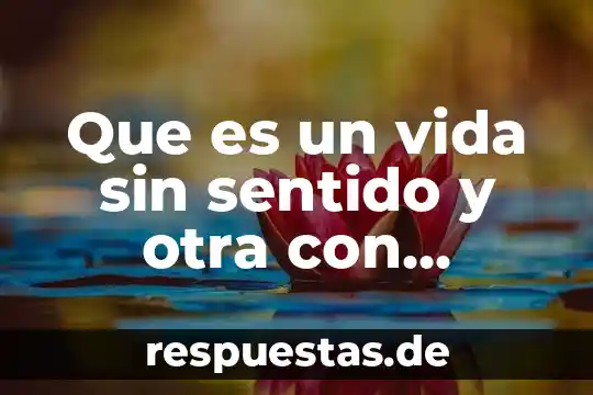 Que es sentido de pertenencia ejemplos 3 Que es un vida sin sentido y otra con sentido