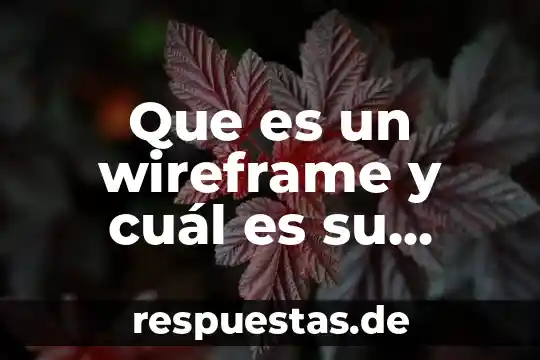 Qué es aracnidos significado 5 Que es un wireframe y cuál es su utilidad