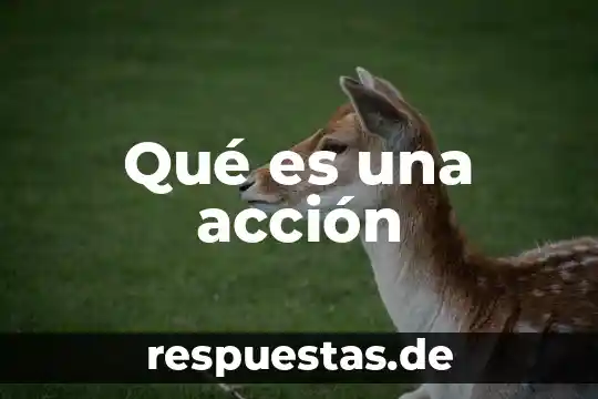 Qué es monedero virtual definición 3 Qué es una acción