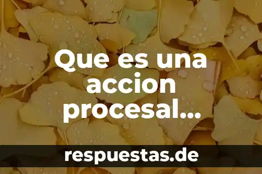 Que es la investigacion procesal 5 Que es una accion procesal agrario