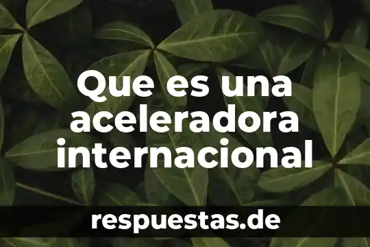 Que es vaguedad internacional extencional 4 Que es una aceleradora internacional